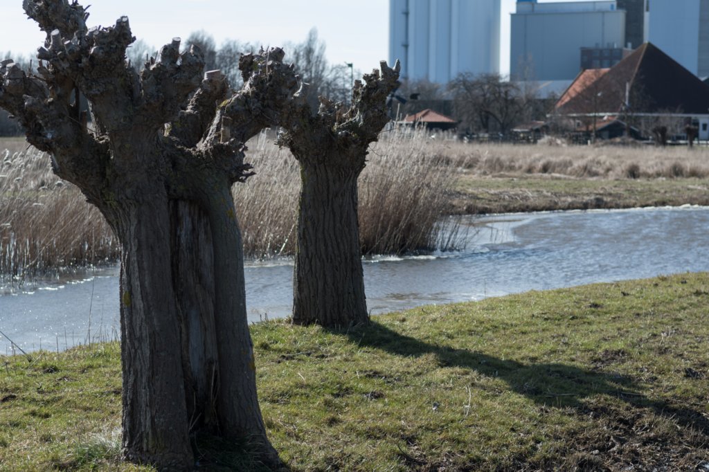 wormerveer_027.jpg