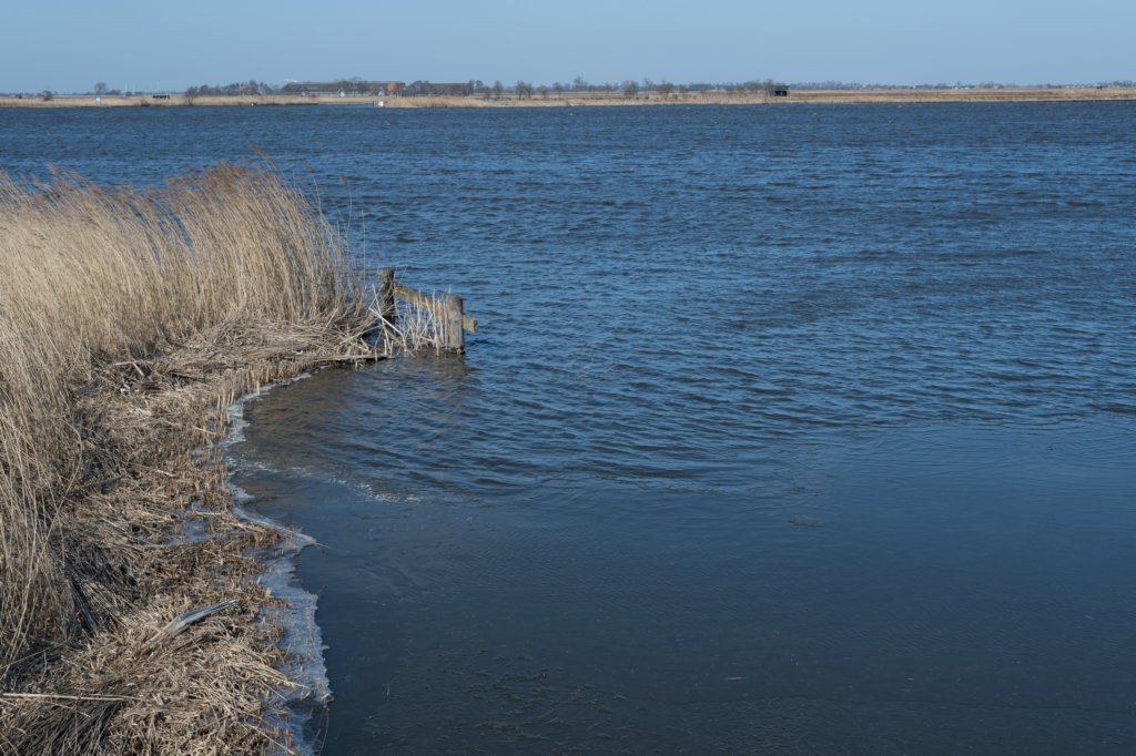 wormerveer_040.jpg