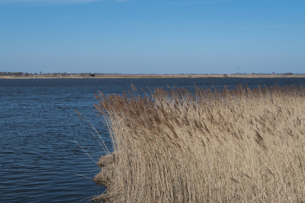 wormerveer_041.jpg