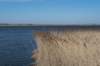 wormerveer_041_small.jpg