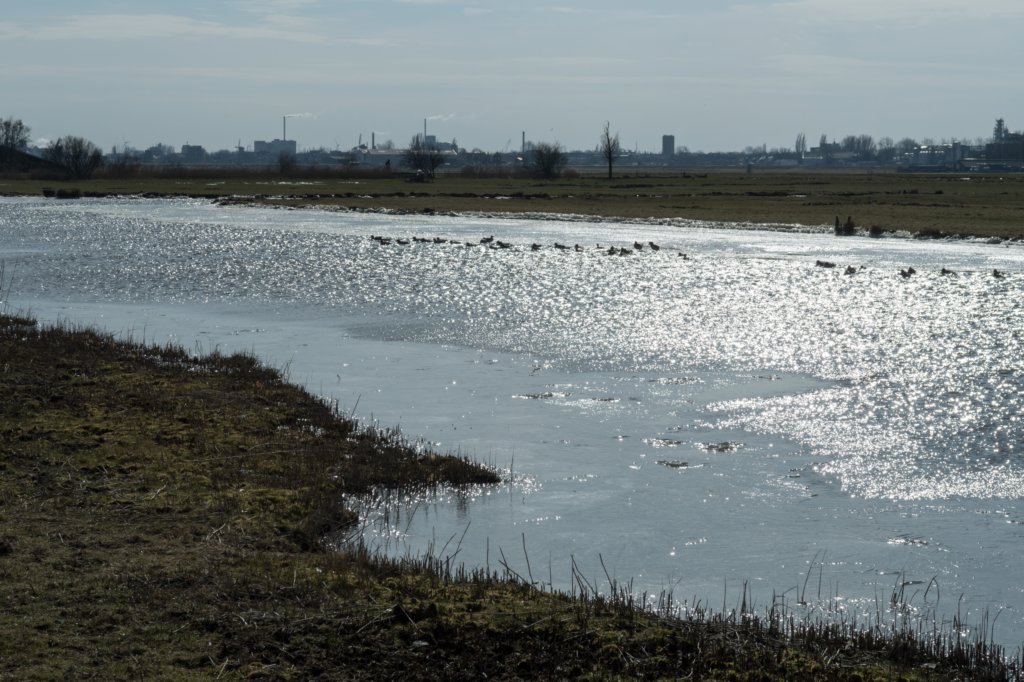 wormerveer_050.jpg
