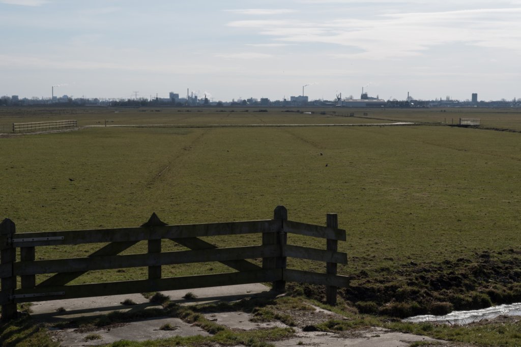wormerveer_052.jpg