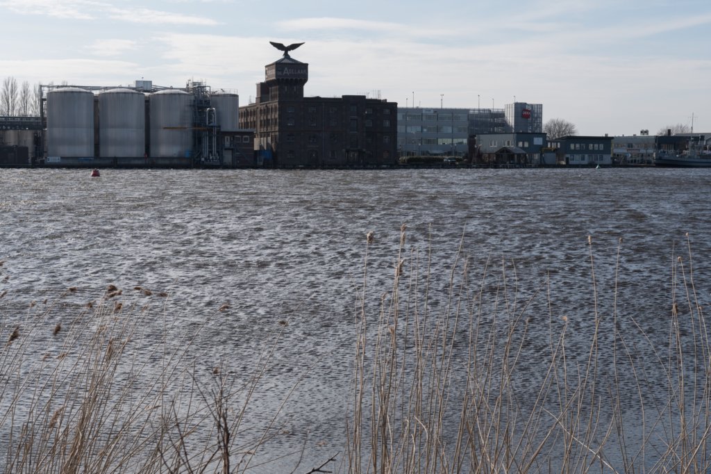 wormerveer_055.jpg