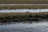 wormerveer_057_small.jpg