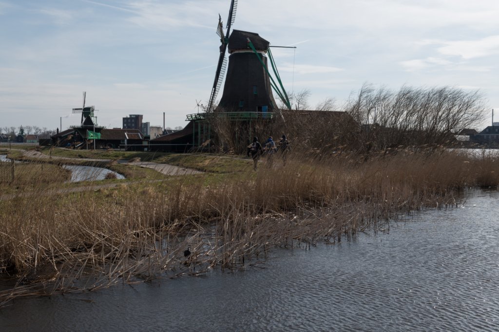 wormerveer_059.jpg