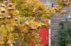 zaltbommel_001_small.jpg