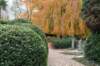 zaltbommel_009_small.jpg