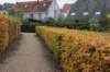 zaltbommel_013_small.jpg