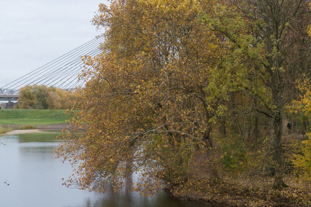 zaltbommel_030.jpg