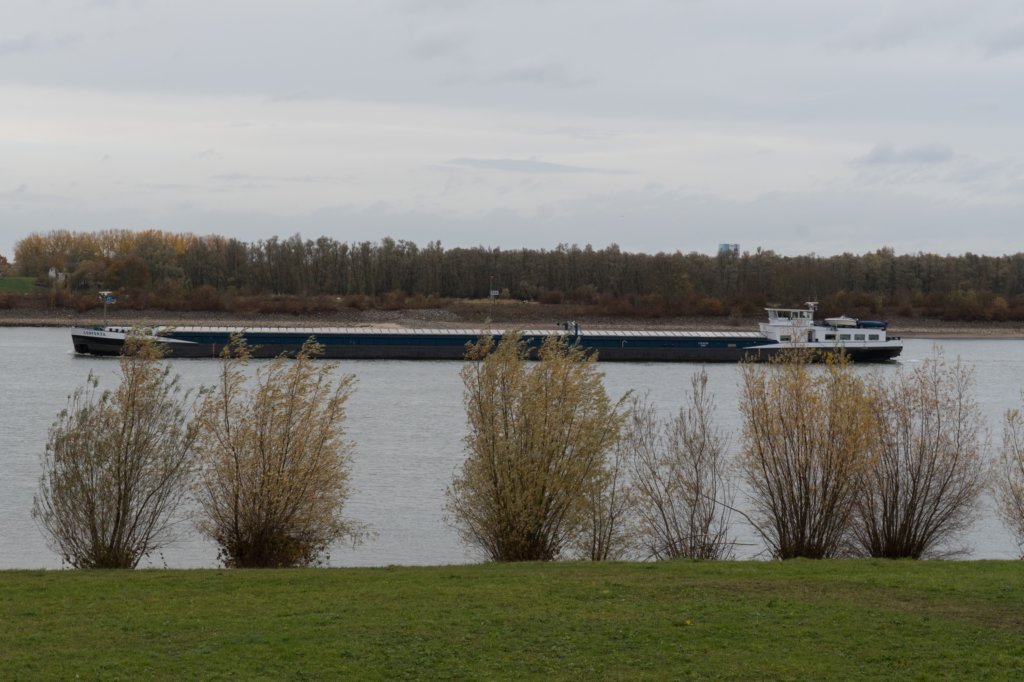 zaltbommel_034.jpg
