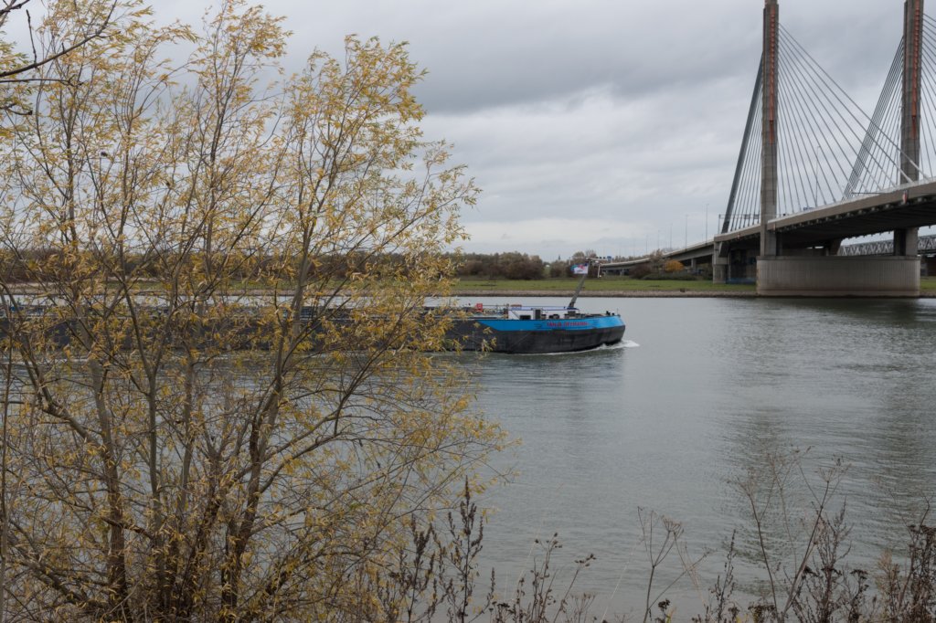 zaltbommel_041.jpg
