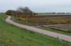 zaltbommel_056_small.jpg