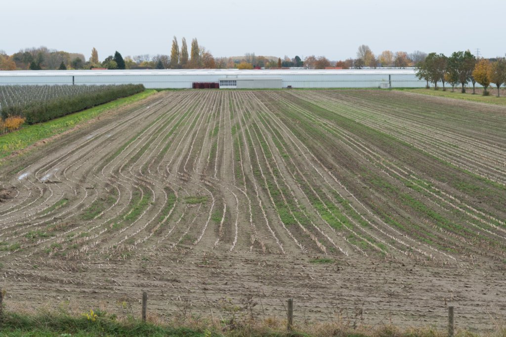 zaltbommel_057.jpg