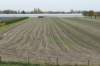 zaltbommel_057_small.jpg