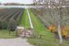 zaltbommel_059_small.jpg