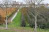 zaltbommel_060_small.jpg