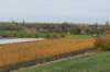 zaltbommel_064_small.jpg