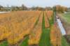zaltbommel_068_small.jpg