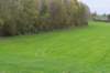 zaltbommel_072_small.jpg