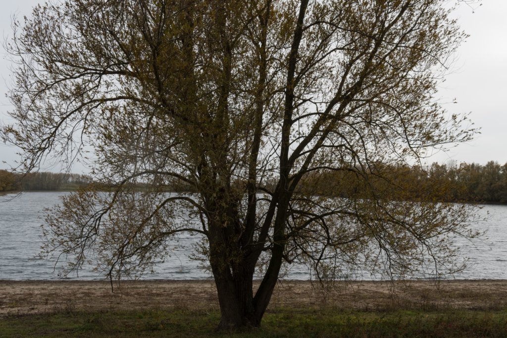 zaltbommel_079.jpg