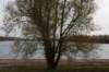 zaltbommel_079_small.jpg