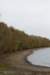 zaltbommel_080_small.jpg