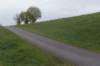 zaltbommel_087_small.jpg