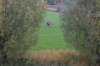 zaltbommel_091_small.jpg
