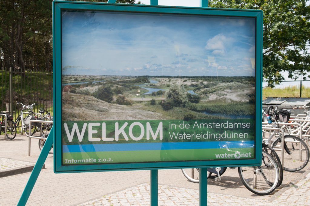 zandvoort2_001.jpg
