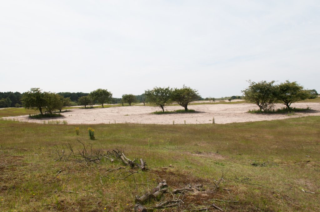 zandvoort2_022.jpg