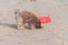 zandvoort_014_small.jpg