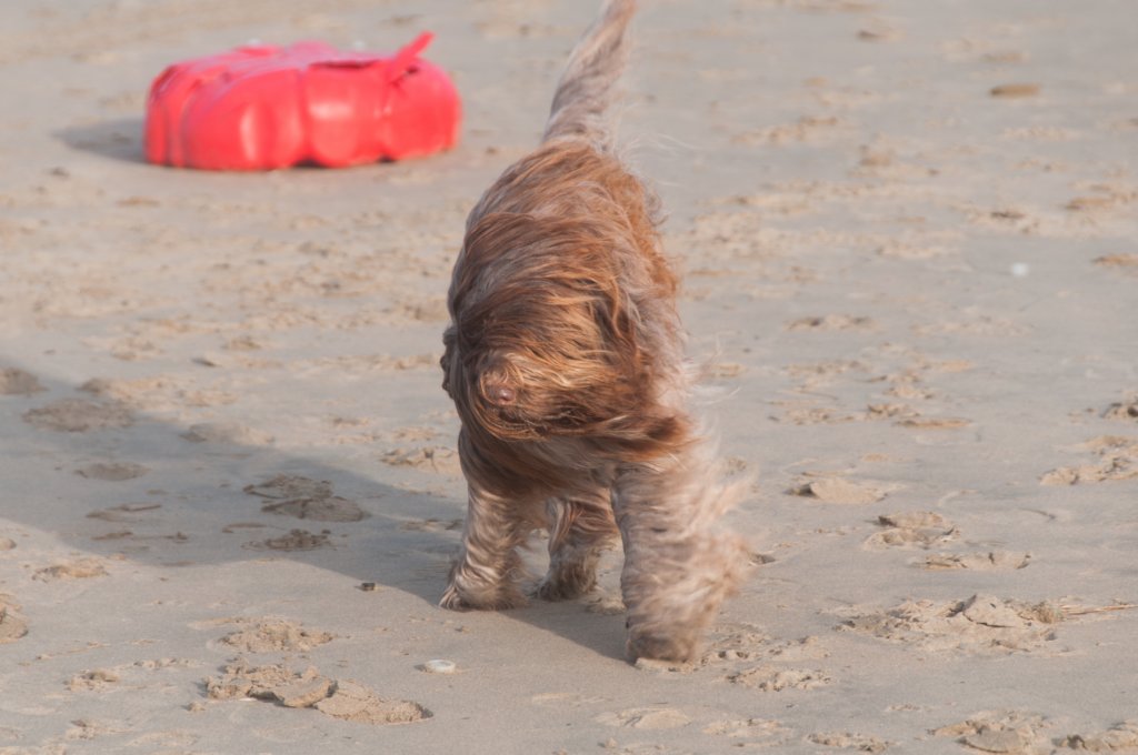 zandvoort_015.jpg