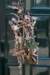 zutphen_017_small.jpg