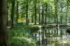 zutphen_034_small.jpg