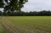 zutphen_040_small.jpg