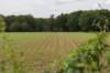 zutphen_041_small.jpg