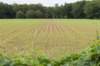 zutphen_042_small.jpg