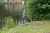 zutphen_044_small.jpg